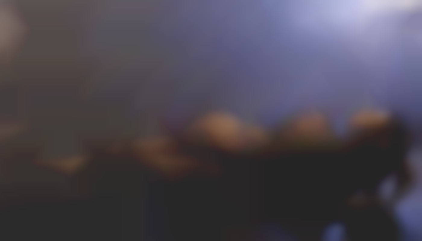 Choisir entre un torso sexuel et une demi-poupée : Quels bénéfices ?